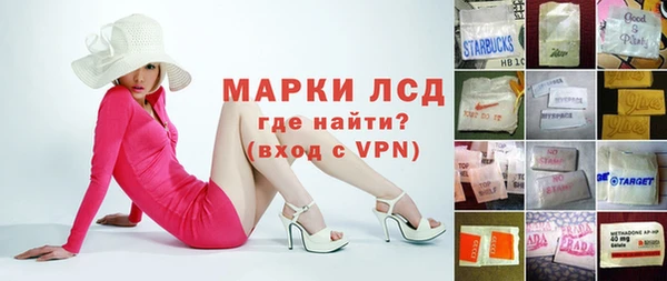 гашик Аркадак
