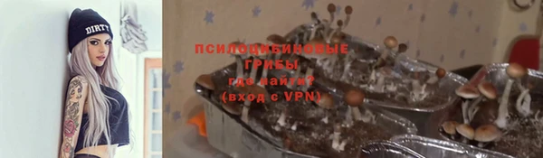 гашик Аркадак