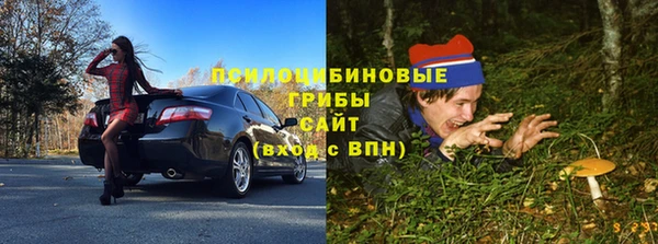 гашик Аркадак