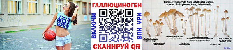 Псилоцибиновые грибы Psilocybine cubensis  магазин    Асино 